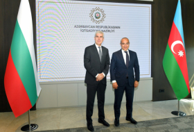 Azerbaijan, Bulgaria discuss development of economic cooperation