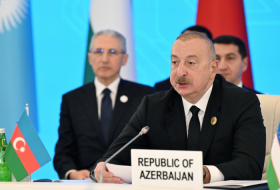   Azerbaijani President: 21st century must be century of progress of Turkic world  