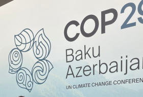  COP29 is great opportunity to expand cooperation with Azerbaijan - Israeli diplomat 