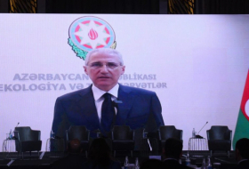 COP29 President addresses participants of ESG Summit in Baku