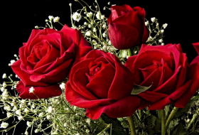 Scientists create electronic circuits in living roses