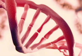 Physicists confirm there`s a second layer of information hidden in our DNA