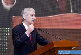  Ali Ahmadov: labor activity of hundreds of thousands of citizens legalized in Azerbaijan 