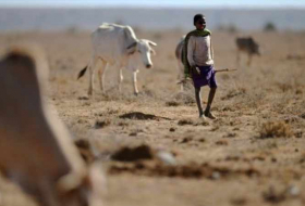 Number of Kenyans going hungry doubles to 3 mn: Red Cross