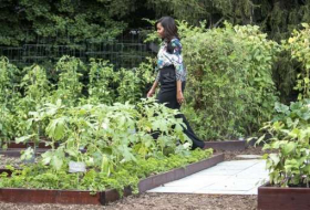 Michelle Obama sets her garden in stone