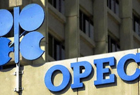 Azerbaijan plays leading role in fulfilment of obligation on oil output cut - OPEC