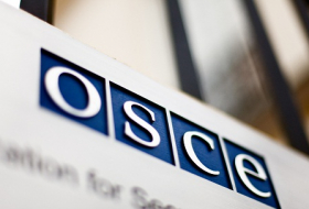 OSCE media freedom representative calls to release detained journalists in Turkey