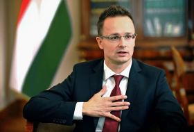 Hungary interested in developing investment co-op with Azerbaijan