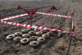 ANAMA disarmed 80 UXOs and one antitank mine last month