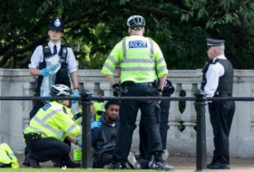 Man detained outside Buckingham Palace in dramatic police swoop on the Mall