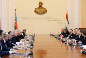 Azerbaijan, Hungary discuss cooperation prospects