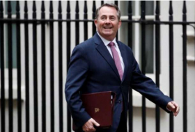 Britain's Fox says UK-EU trade deal 'easiest in human history', sterling falls