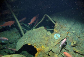 Australia finds wreck of first Allied submarine to sink in World War One