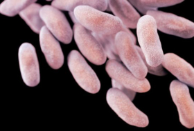 Fears grow over increased antibiotic resistance