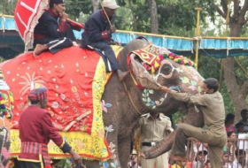 India mourns one of its oldest elephants, Indira