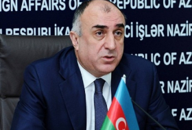 Azerbaijani FM holding talks with OSCE MG co-chairs