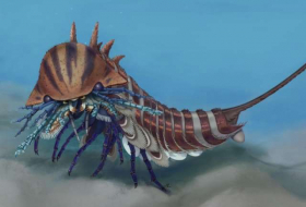 Scorpion-like creature lived 508 million years ago, scientists say