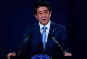 Japan's Abe says wants to resolve peace treaty issue with Russia