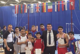 Junior Azerbaijani gymnasts claim 8 medals in Budapest Cup
