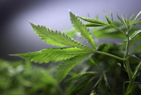 Medical marijuana is now legal in Ohio