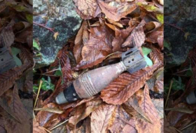 Active 'World War II-style mortar shell' turns up in, of all places,Oregon woman's shed