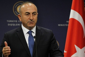 TANAP natural gas project is Turkey`s priority - FM