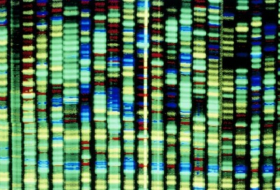 Scientists discover an inherited gene for MS
