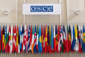 Demand Justice for Khojaly: The Genocide mentioned at OSCE PA meeting