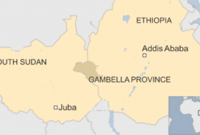 Ethiopia: Armed men `kill 140` near South Sudan border