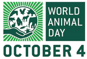 World Animal Day - 4 October