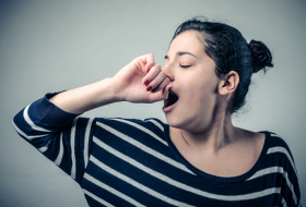The bigger the yawn, the bigger the brain, scientists find 