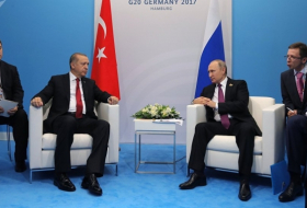 Putin, Erdogan discuss Turkish Stream, Akkuyu NPP Construction, Syrian Crisis