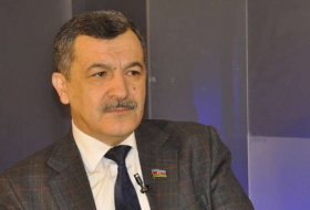   Azerbaijani MP: Kazakhs tired of Armenians’ tricks  