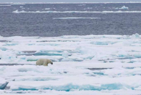 Global sea ice hits new low