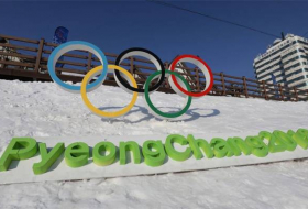 Pyeongchang Games organizers probe possible cyberattack