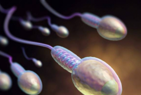 Low sperm count can mean shorter lifespan, study finds