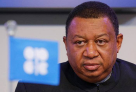 OPEC's Barkindo: Oil sector investment up but not fully recovered