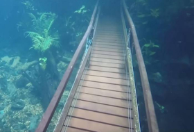 Heavy rains turned hiking trail in Brazil into an underwater paradise - VIDEO
