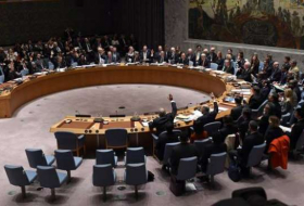 UNSC fails to adopt Russia-drafted resolution condemning Syria strike