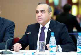“Armenian Francophonie” became insult to humanistic values - Azerbaijani MP 