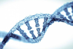 DNA tests revealing disease risk make people live healthier lives