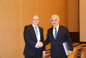 IEA executive director expected to visit Baku