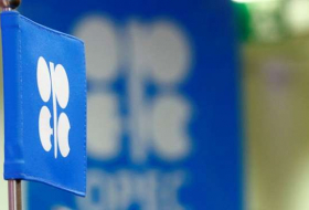 OPEC announces volume of proven gas reserves of Azerbaijan