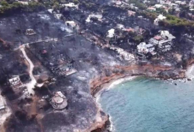 Incinerated landscape from Greek inferno laid bare- VIDEO