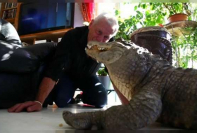 400 scaly creatures under one roof: meet France's reptile man - NO COMMENT