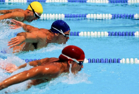 Azerbaijani swimmer wins gold and silver medals at World Cup in Netherlands