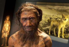 Interbreeding with Neanderthals gave humans ability to fight disease