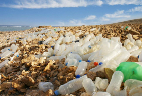 Coca-Cola and Nestle among worst plastic polluters based on global clean-ups