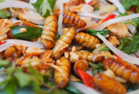 Would you eat insects to save the planet from global warming? - OPINION
