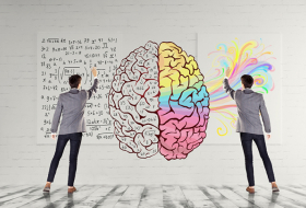 Are there really right-brained and left-brained people? - iWONDER